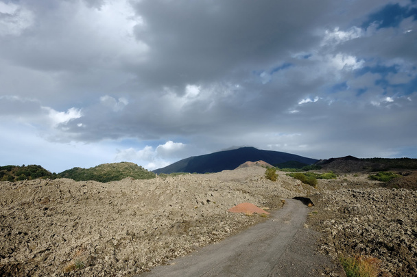 パスと古い冷却溶岩、シチリア島エトナ山国立公園 - 写真・画像