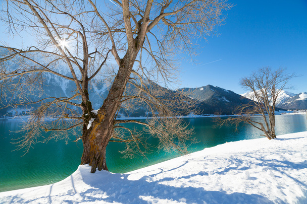 Гірське озеро. Зимовий пейзаж у talps, Ахензее, Австрія. - Фото, зображення