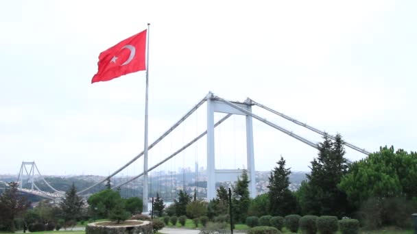 waving turkish flag - Footage, Video