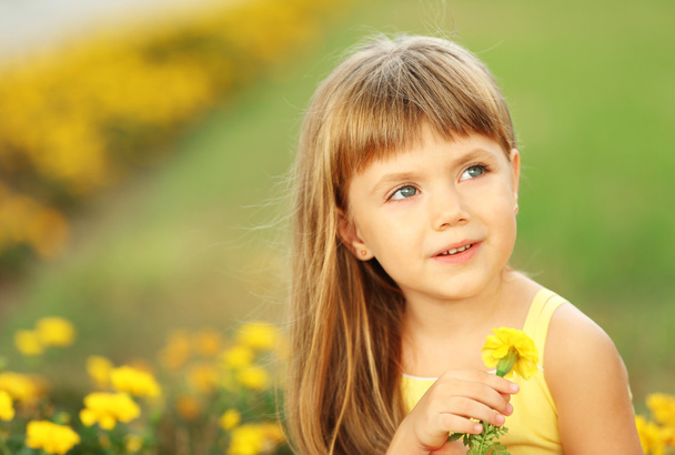Little girl with flowers   - Фото, зображення