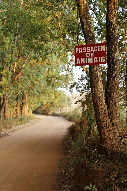 Signe passage des animaux
 - Photo, image