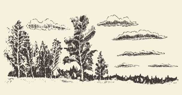 handgezeichnete Landschaft Wald Wiese Wolken Vektor - Vektor, Bild