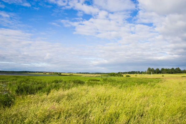 Summer landscape - Sunny field - Photo, Image