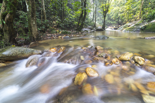 Waterstroom bij tropisch bos - Foto, afbeelding