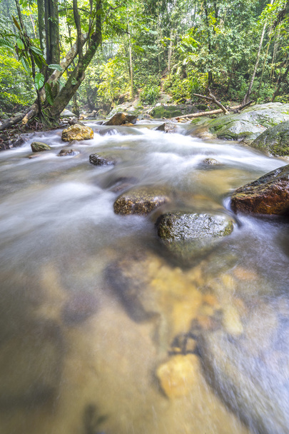 Water stream at tropical forest - Foto, imagen
