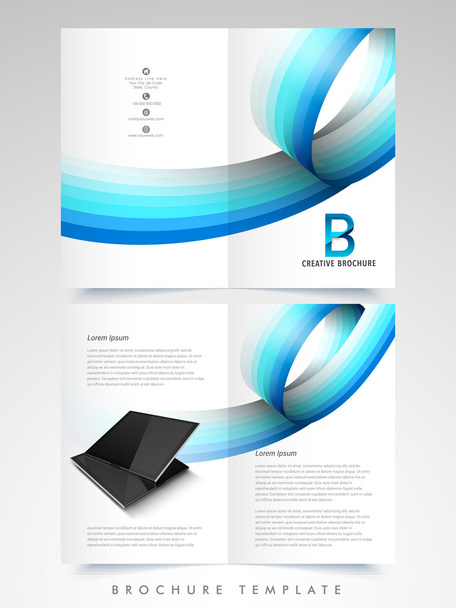 Creative Brochure, Template or Flyer for Business. - Vector, Image