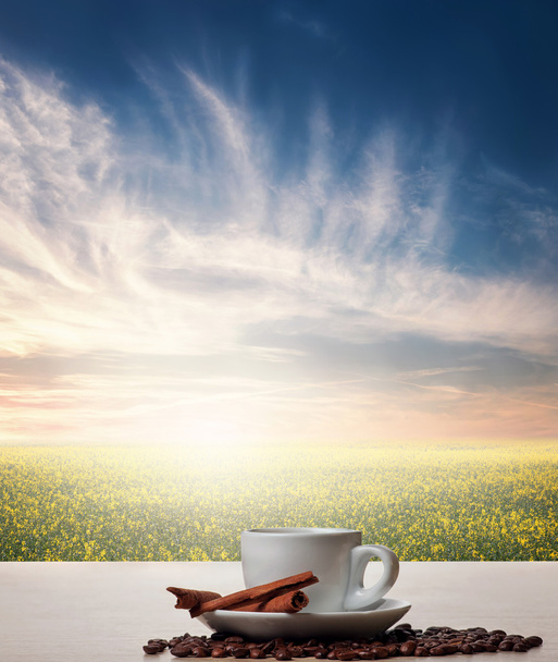 Kawa z cynamonem przeciwko natura pejzaż - Zdjęcie, obraz