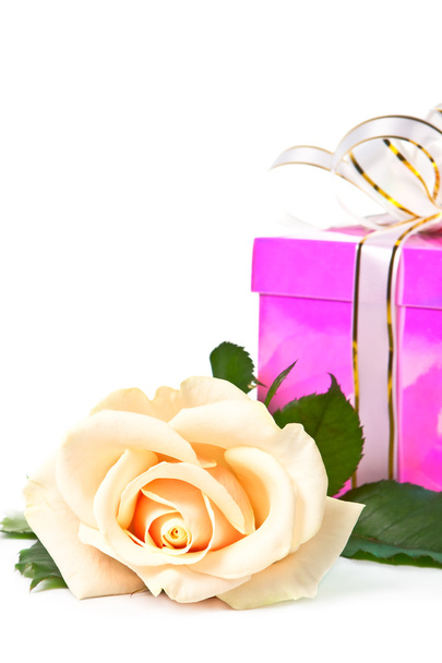 Cream roses and present. - Фото, изображение