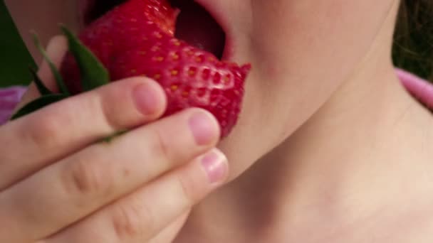 Clip de fraise # 2
 - Séquence, vidéo