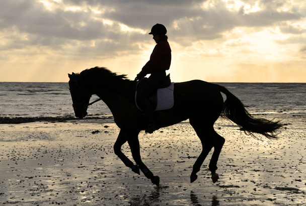 Silhouette di un Cavaliere Cantering sulla spiaggia
 - Foto, immagini