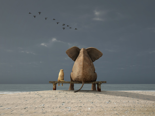 Éléphant et chien assis sur une plage déserte
 - Photo, image