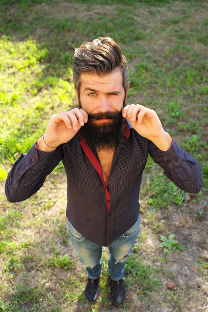 Top view of man with beard - Foto, Bild