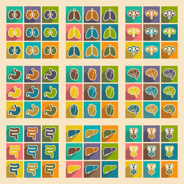 Icons of assembly internal organs in flat style - Vector, Image