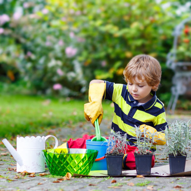 Смішний маленький хлопчик вчиться садити квіти в саду
 - Фото, зображення
