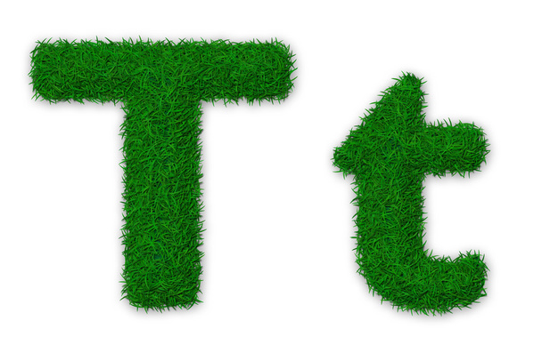Grassy letter T - Foto, afbeelding