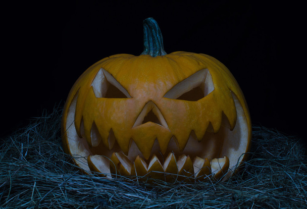 pumpkins for Halloween - Photo, Image
