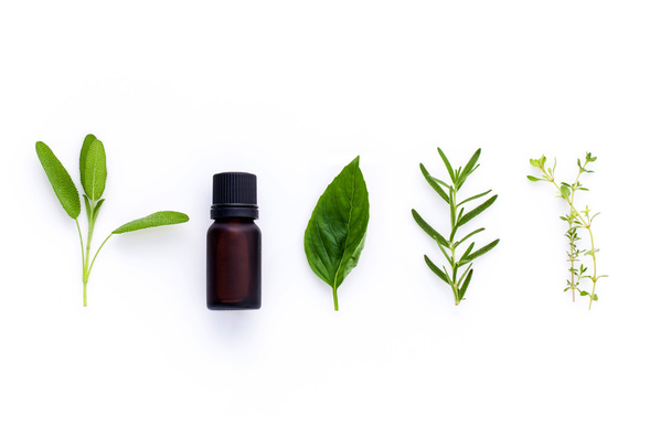 Bottle of essential oil with herb holy basil leaf, rosemary,oreg - Photo, Image