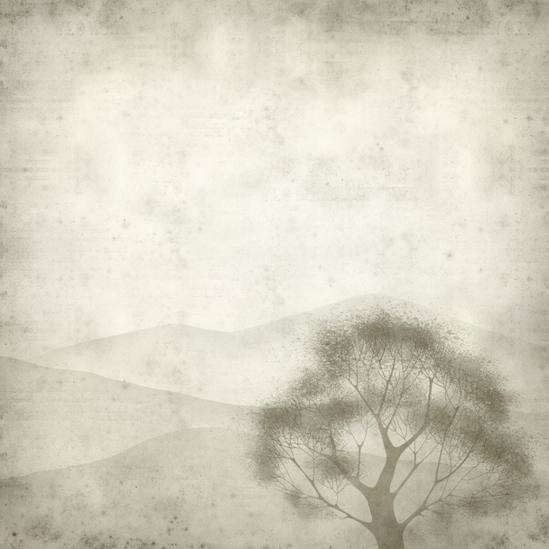 textured old paper background with - 写真・画像