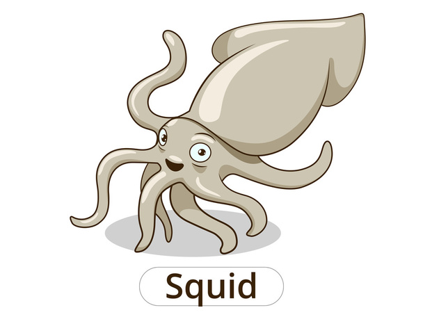 Squid underwater animal cartoon illustration - Vector, afbeelding