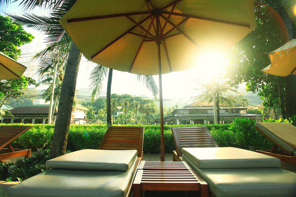 hotel lounges palm landscape - Foto, afbeelding