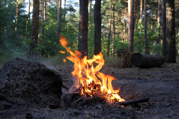 Bunfire en el bosque después de la fiesta de picnic
 - Foto, Imagen