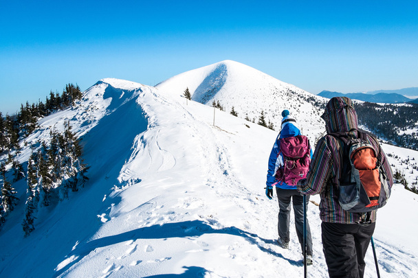 Girls go on snowy mountain peak - Zdjęcie, obraz