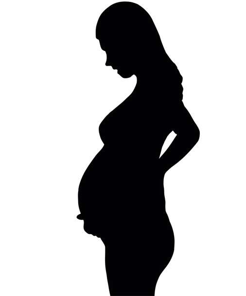 La silueta de la mujer embarazada
. - Vector, Imagen