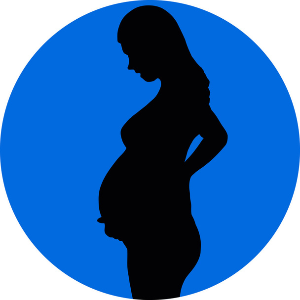 La silhouette de la femme enceinte
. - Vecteur, image