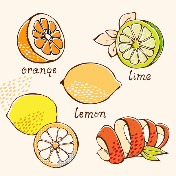 Citrus doodle set - Διάνυσμα, εικόνα