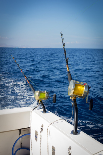 La pesca del Marlin
 - Foto, imagen