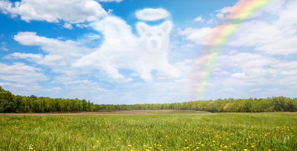 campo con nube en forma de perro
 - Foto, Imagen