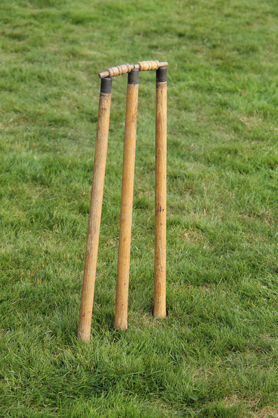 Vintage Cricket stompen. - Foto, afbeelding