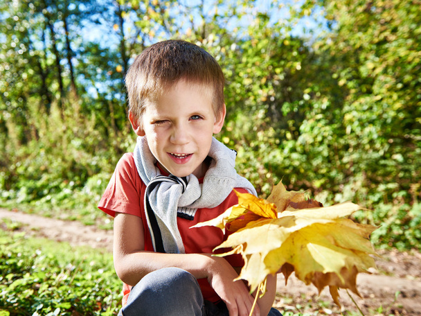 Joyful little boy with yellow leaves in autumn park on sunny day - Fotó, kép