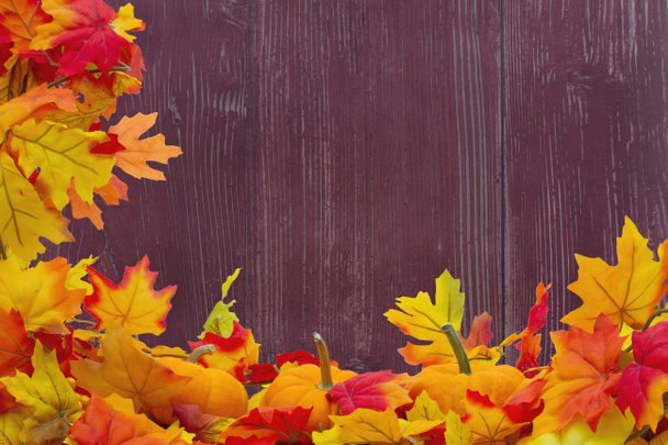 podzimní listí a dýně zázemí - Fotografie, Obrázek