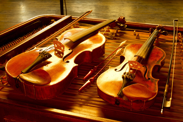 ヴァイオリン弦楽器 - 写真・画像