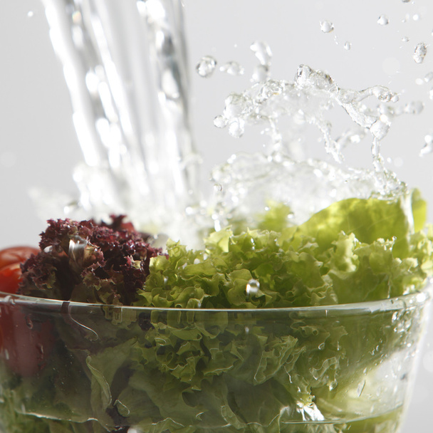 Close up of the salad - Foto, imagen
