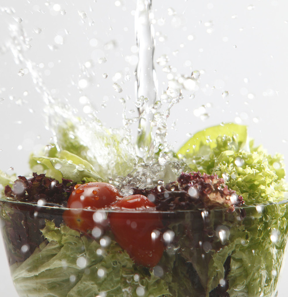 Close up of the salad - Fotoğraf, Görsel
