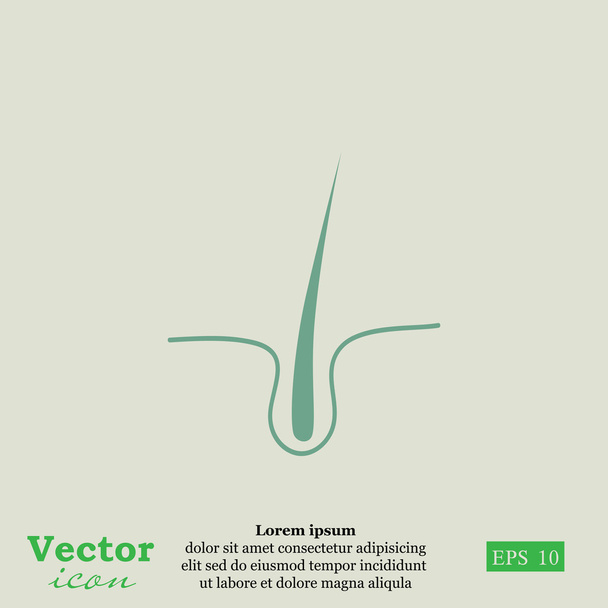 human hair icon - Vector, Image
