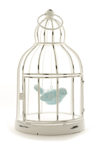 Oiseau en cage
 - Photo, image