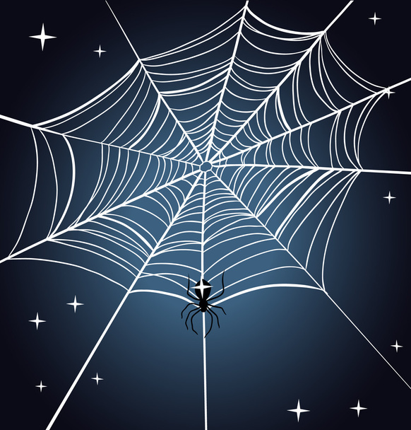 Halloween Spider Web. Night sky. - Вектор, зображення