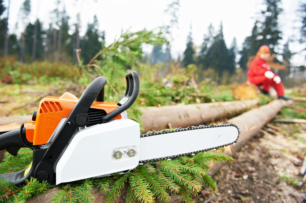 Lumberjack Worker With Chainsaw In The Forest - Foto, Imagem