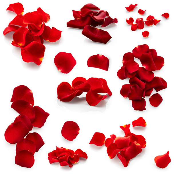 ensemble de pétales de rose
 - Photo, image