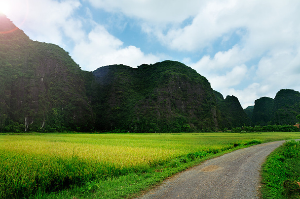 ニンビンの自然景観,ベトナム. - 写真・画像