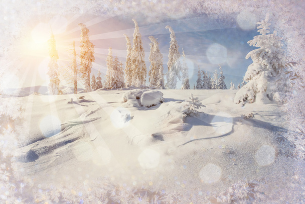 winter landschap bomen snowbound, bokeh achtergrond met snowflak - Foto, afbeelding