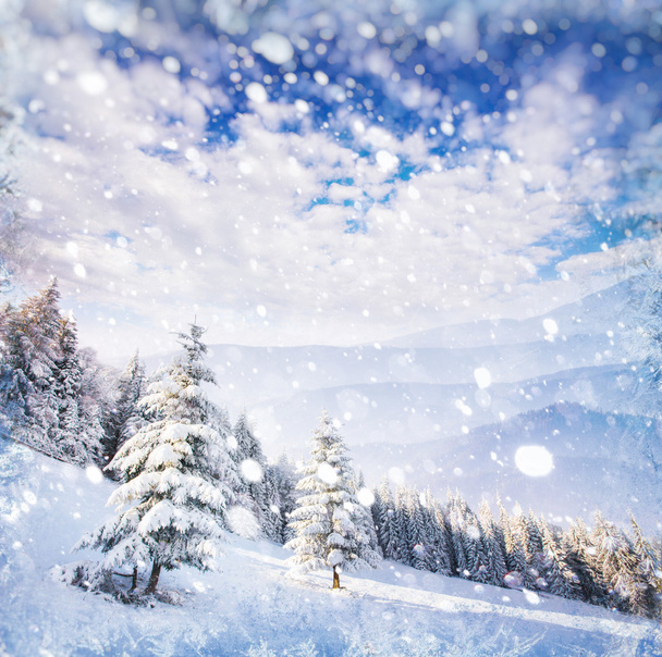 zimowy krajobraz drzew i ogrodzenia w szron, tło z s - Zdjęcie, obraz