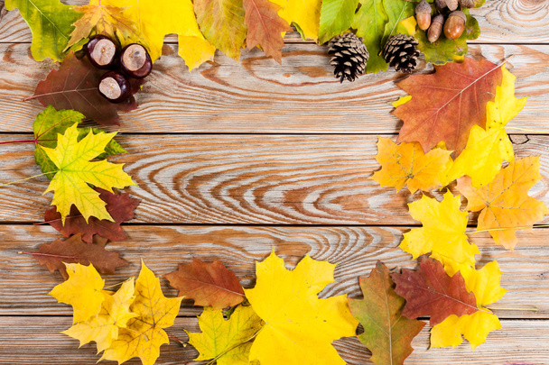 Natural autumn frame. - Foto, Imagen