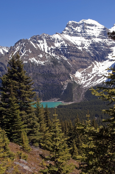 カナダの山の湖 - 写真・画像