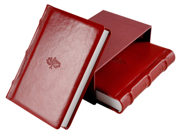 Красные кожаные дневники
 - Фото, изображение