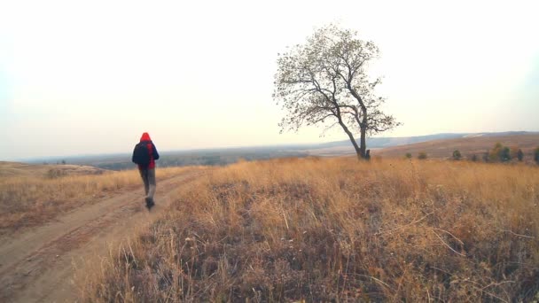 homme voyageur avec un sac à dos en automne est sur le chemin de la nature est un voyage solitaire arbre
 - Séquence, vidéo