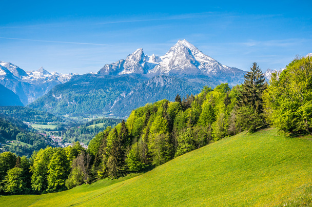Paesaggio alpino idilliaco con prati verdi, casali e cime innevate
 - Foto, immagini